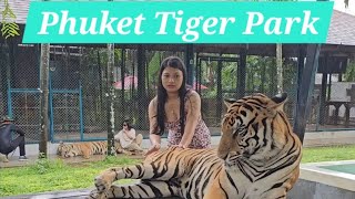 I Touched The Biggest Tiger In Tiger Park  Puket Tiger Park  Vlog [upl. by Einnalem]