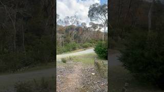 Blackhill Hike in Adelaide ⛰️ hikingadventures walking fitnessjourney australianature adelaide [upl. by Hayyim338]