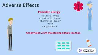 Pharmacology Project Penicillins [upl. by Akehsay]