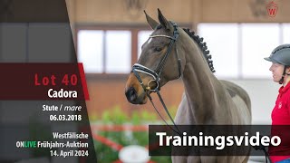 OnLive FrühjahrsAuktion Training Lot 40 Cadora Stute v Catch  Quintender [upl. by Oliva]