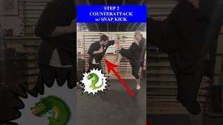 How To COUNTERATTACK with SNAP KICK in a FIGHT 💥 Shorts Kempo Karate [upl. by Woodsum]