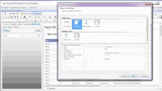 Input Controls on Business Objects 31 [upl. by Rame]