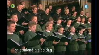 Holland Boys Choir O haupt voll Blut und Wunden [upl. by Noynek]