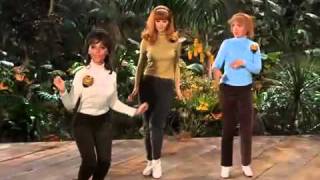 Gilligans Island  The Honey Bees You Need Us [upl. by Nedarb]