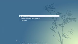 Install OpenMandriva Lx 2014 in UEFI Mode Dual Boot Windows 8 [upl. by Nodanrb823]
