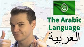 The ARABIC Language Its Amazing History and Features [upl. by Davon941]