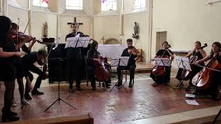 BACH concerto Brandebourgeois n°6  1er mvt [upl. by Ayerdna975]