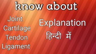 what is Tendon Bone  joint  cartilage and Ligaments explanation in Hindi  science talk [upl. by Osmond]