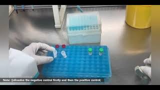 China COVID19 PCR Fluorescence Probing Rapid Test Kit Procedure [upl. by Nanji]