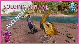 Taming Ichthyornis and Hesperornis Soloing ARK Ascended Ep 72 [upl. by Lindeberg]