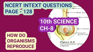 10th Science Ch8 Ncert Intext QuestionsPage128 Study with Farru [upl. by Ahseenal]