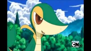 Pokemon amv  Evacuate the dance floor Kidz Bop Kids version [upl. by Adilen]