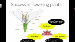 Reproduction in Plants 2016 [upl. by Lihkin]