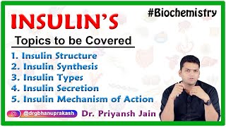 Insulin structure Insulin synthesis Insulin types Insulin Secretion Insulin mechanism of Action [upl. by Dunson]