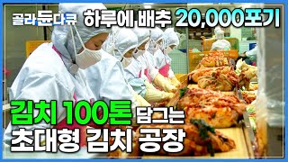 하루만에 2만 포기 배추김치가 뚝딱 매일 김치 100톤 담그는 전국 최대 규모 초대형 김치 공장│한국 대표 음식 김치 대량 생산 과정│김장│극한직업│골라듄다큐 [upl. by Bohi]