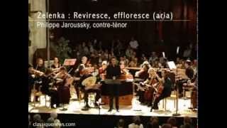 Philippe Jaroussky  Reportage about Zelenka  concert on 21808 [upl. by Neelrahc]