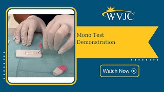 Mono Test Demonstration [upl. by Analli419]