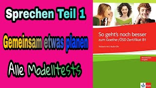 Goethe Zertifikat B1  Gemeinsam etwas Planen 100 mündlich bestehen  So gehts noch besser B1 [upl. by Auburta]