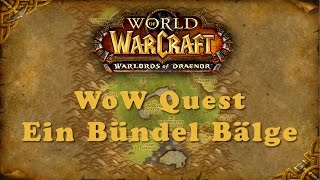 WoW Quest Ein Bündel Bälge [upl. by Elvie]