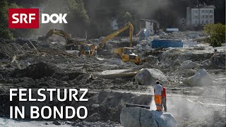 Der Bergsturz in Bondo und seine Folgen  Klimawandel in der Alpenregion  Reportage  SRF [upl. by Eniloj]