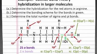 CHEMISTRY 101  Valence Bond Theory hybridization in larger molecules [upl. by Auqenaj]