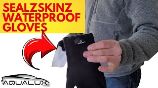 Seal Skinz Waterproof Gloves  Best Waterproof Gloves For Auto Detailing In 2021 [upl. by Ayortal126]