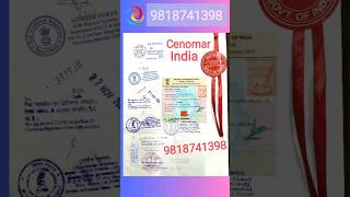 Unmarried Certificate India  Meaapostille  Affidavit [upl. by Ecirtnom]