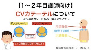 【1〜2年目看護師向け】CVカテーテルについて [upl. by Nylahs]