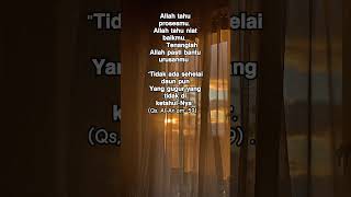 motivasi quotes [upl. by Onaivlis487]