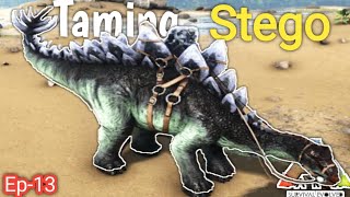 Tame Stego  Ark Servival Evolved Mobile  Ep13  Hindi  How to Tame Stego [upl. by Ahsiemac]