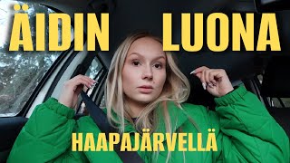 LUPAAN NÄMÄ ASIAT  mai day [upl. by Borreri]