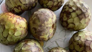 Organic Cherimoya Meal 4 pm Second Last Meal Of The Day [upl. by Dorren]