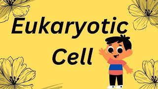 What is Eukaryotic Cell  🤔🤔Simple Explanation of Eukaryotic Cell in Hindi🤓🤓biology 2024 [upl. by Asiel297]