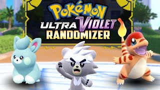 I Randomized an ULTRA Version of Pokémon Scarlet amp Violet [upl. by Airotnahs]