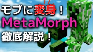 MetaMorphとMorphでモブに変身しよう！MetaMorph編【親子でマイクラ】【ポケモンMOD】【ゆっくり実況】【マインクラフト】【Mineclaft】 [upl. by Wolgast]