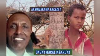 Gabay Qiimo badan dardaaran Macalim abwan abshir bacadle [upl. by Mairb]