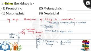 In fishes the kidney is  1 Pronephric 2 Metanephric 3 Mesonephric [upl. by Notnek]