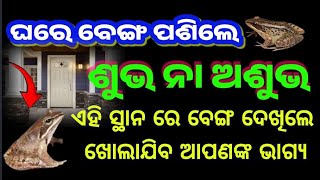 ଘରେ ବେଙ୍ଗ ପଶିଲେ ଶୁଭ ନା ଅଶୁଭghare benga thile kn hue odia ghare benga pasile kn hue benga gharebn [upl. by Htieh]