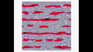 Phase field modellingAustenite formation during fast heating [upl. by Ludlew]