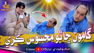 Gamoo Sha Tho Mahesoos Kare  Asif Pahore Gamoo  Sohrab Soomro  Gamoo New Video  2024 [upl. by Ellata]