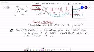 Microbiologie générale Nutrition bactérienne part 2 [upl. by Eicirtap405]