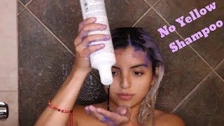 Best Shampoo to Tone Blond Hair  Fanola No Yellow Shampoo Review [upl. by Wistrup]