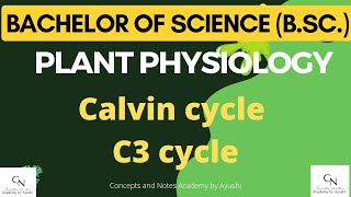 Calvin Cycle  C3 cycle  Concepts and Notes Academy by Ayushi  For BSc students [upl. by Nnaeel315]