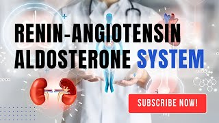 How does the ReninAngiotensinAldosterone System regulate blood pressure [upl. by Serrano]