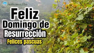 Feliz domingo de resurrección Hermoso mensaje para ti felices pascuas [upl. by Annah]