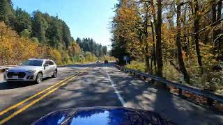 Cascade Scenic Loop  Cascade Loop  Fall Foliage 2024  Washington Scenic Drive [upl. by Akcimahs775]