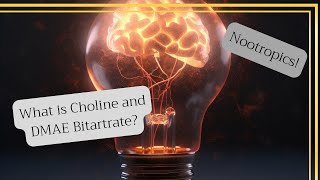 Choline and DMAE Bitartrate  Nootropics  Benefits [upl. by Vanya]