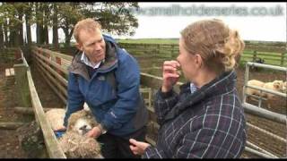 Sheep Drenching worming with Adam Henson [upl. by Retsek120]