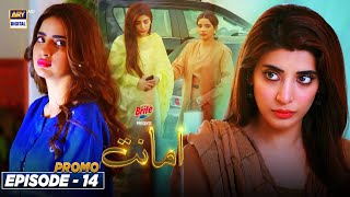 Amanat Episode 14  PROMO  Presented by Brite  ARY Digital Drama [upl. by Tymes]