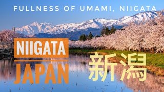 Niigata Prefecture Japan  Must visit places in Niigata and Food to try [upl. by Nairot]